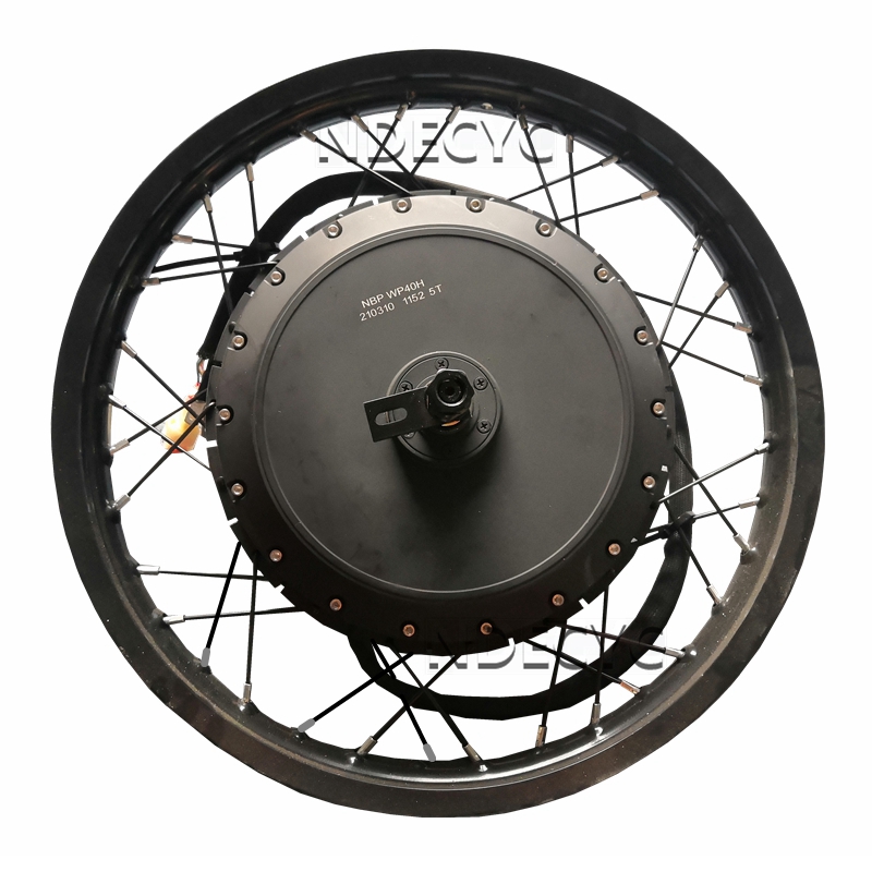US Stock NBpower/QS V3 273 40H - Qs Motor 273 8000W Hub Motor 评论和价格